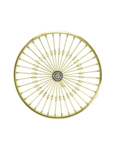 26 Steel Coaster Twisted Cage 36 Spoke 8gGold...